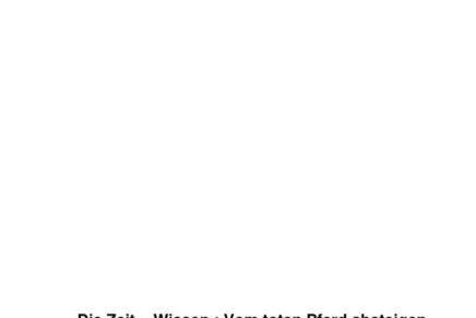 Vom toten Pferd absteigen  DIE ZEIT online